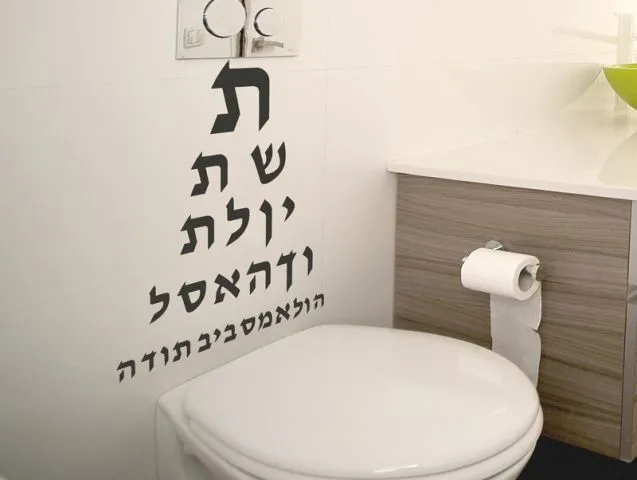 בדיקת ראיה